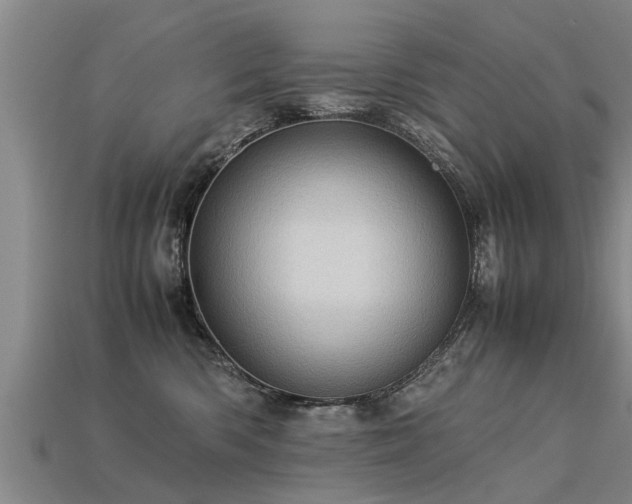 X0000113600426200909251200