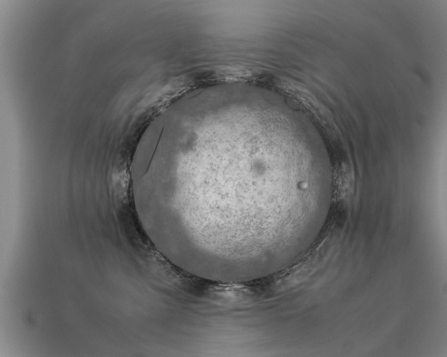 X0000113600427200909251200