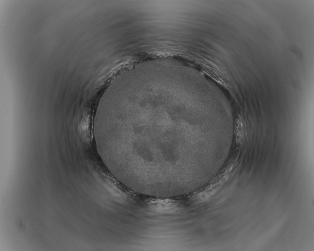 X0000113600428200909251200