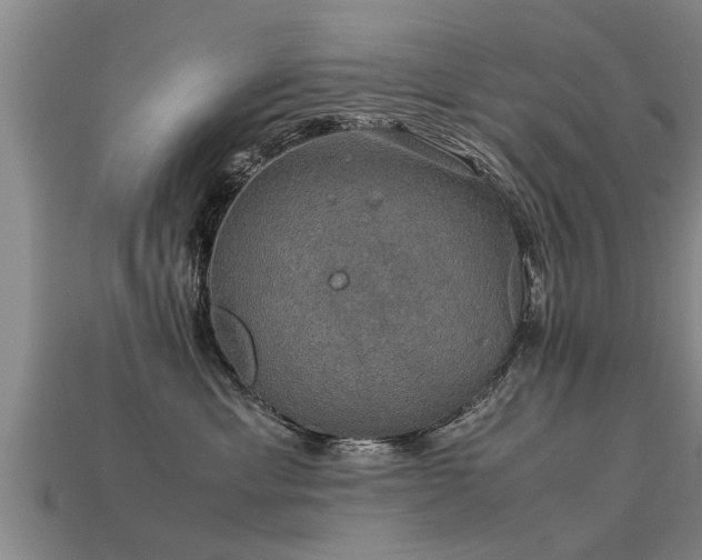 X0000113600429200909251200