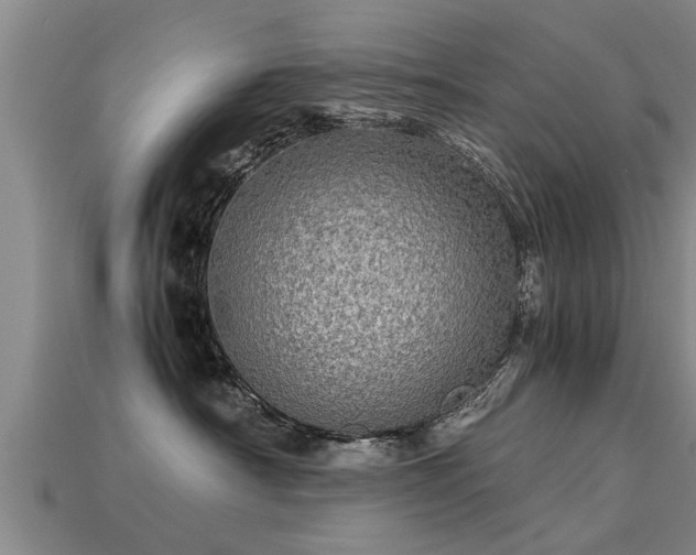 X0000113600430200909251200