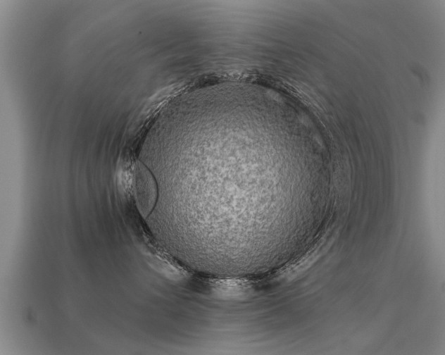 X0000113600432200909251200