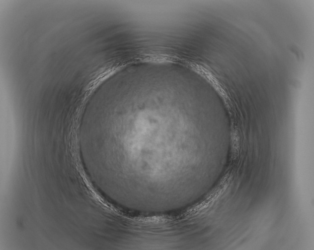 X0000113600433200909251159