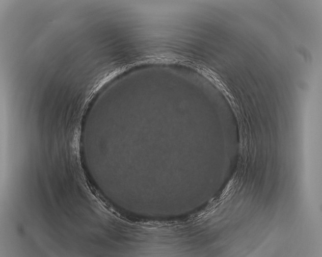 X0000113600434200909251159