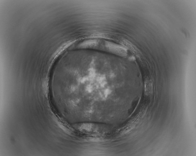 X0000113600436200909251159