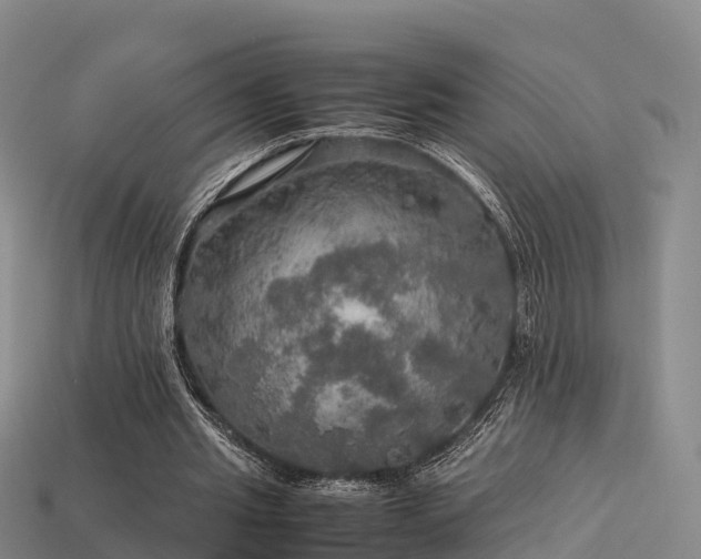 X0000113600437200909251159