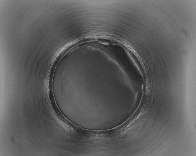 X0000113600438200909251159