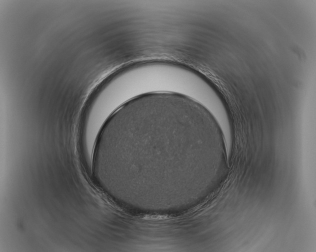 X0000113600440200909251159