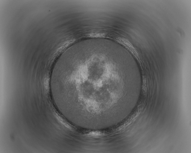 X0000113600441200909251159