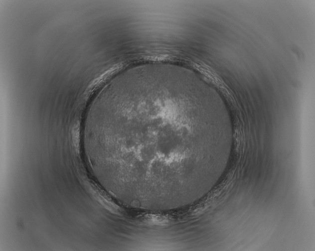 X0000113600442200909251159