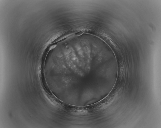 X0000113600443200909251159