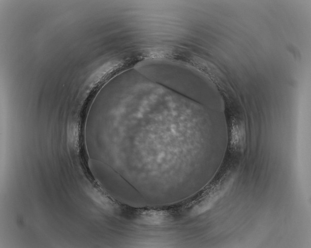 X0000113600444200909251159