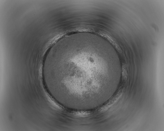 X0000113600445200909251159