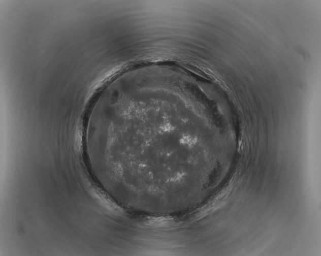 X0000113600446200909251159