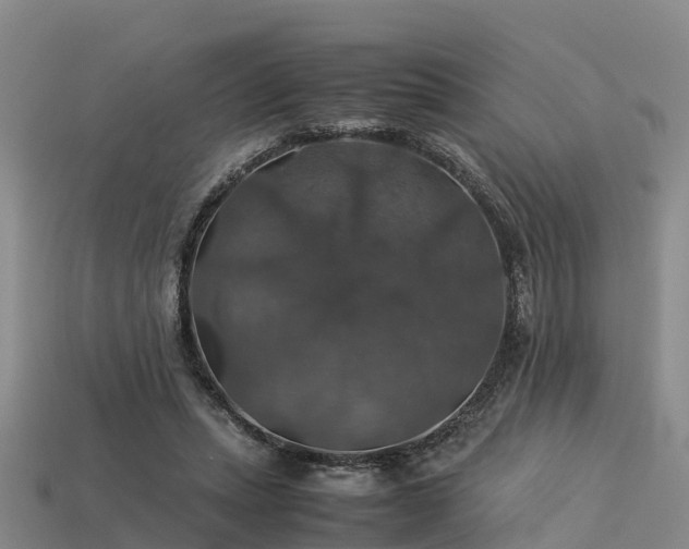 X0000113600447200909251159