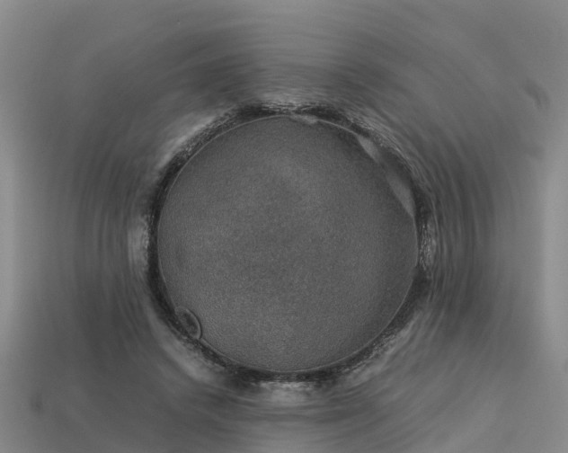 X0000113600448200909251159