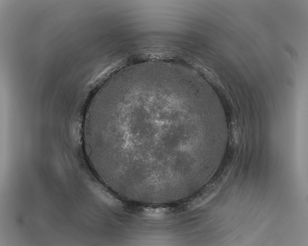 X0000113600450200909251159