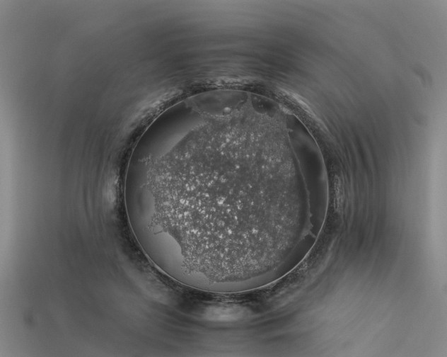 X0000113600451200909251159