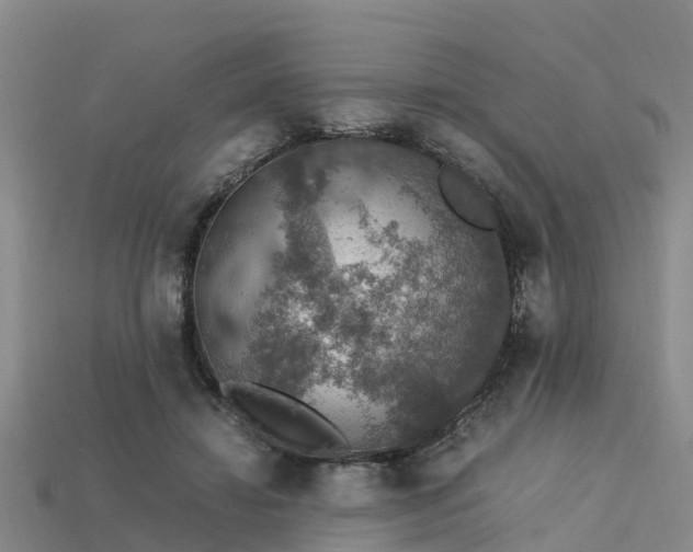 X0000113600452200909251159