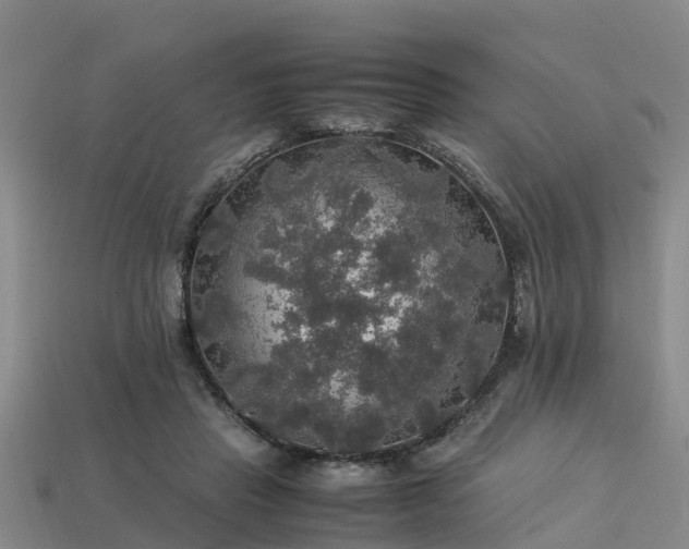 X0000113600453200909251159