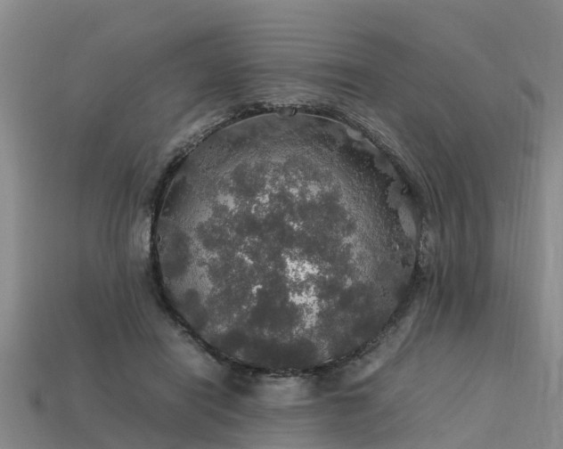 X0000113600454200909251159