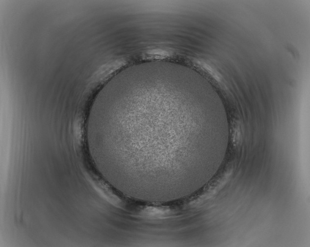 X0000113600455200909251159