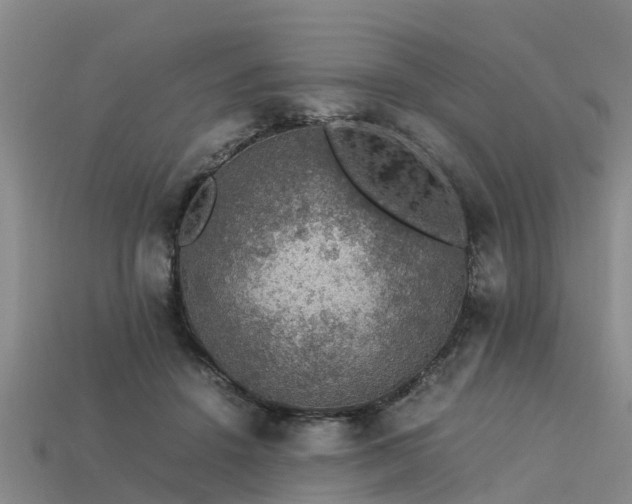 X0000113600456200909251159