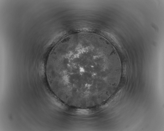 X0000113600457200909251159