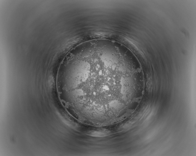 X0000113600459200909251159