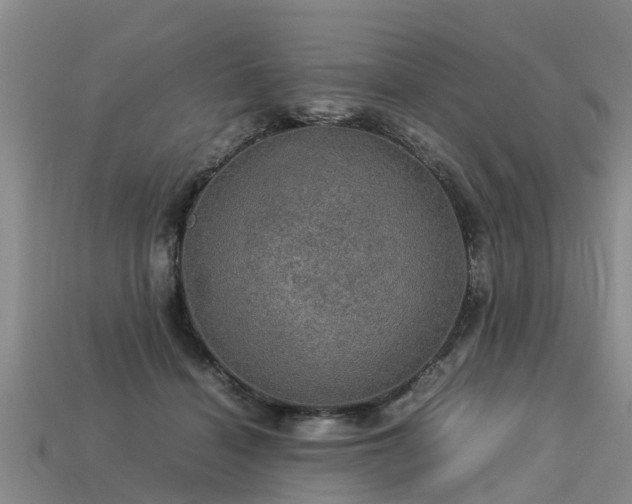 X0000113600460200909251159