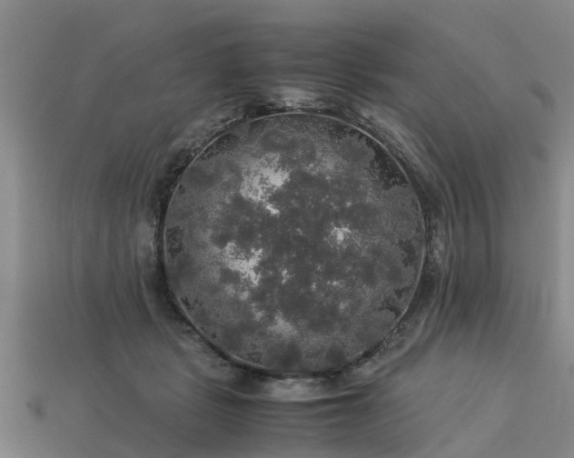 X0000113600461200909251159