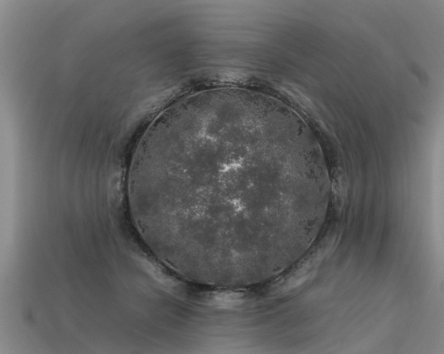 X0000113600462200909251159