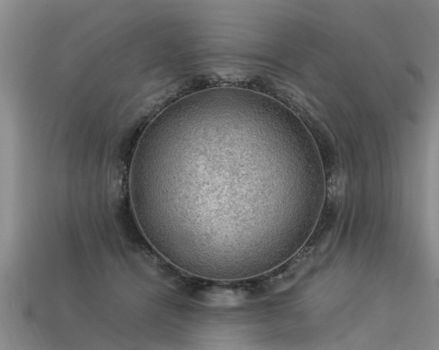 X0000113600464200909251159