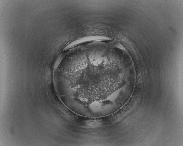 X0000113600465200909251159