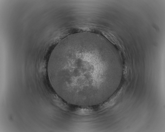 X0000113600466200909251159