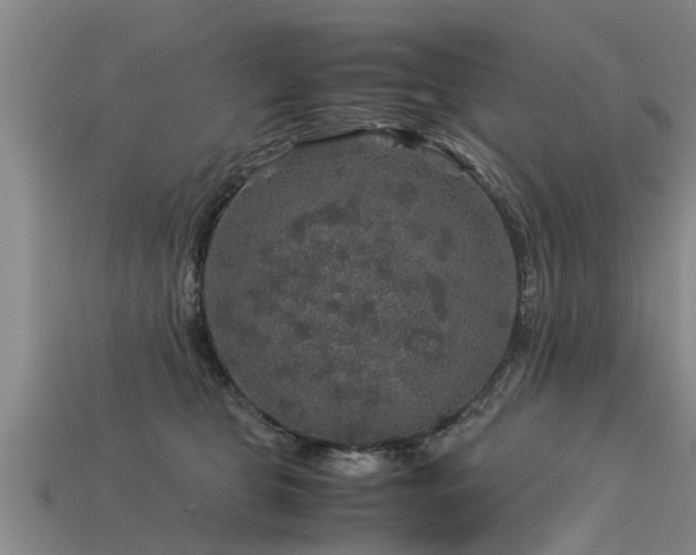 X0000113600469200909251200