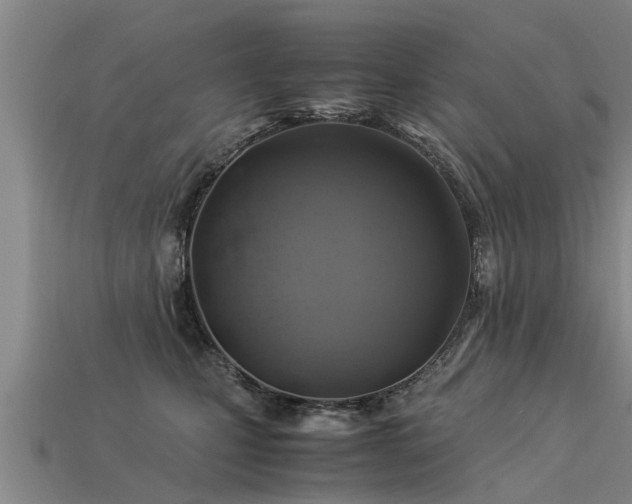 X0000113600471200909251200