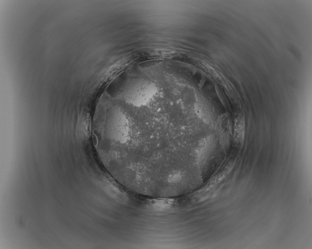 X0000113600474200909251200