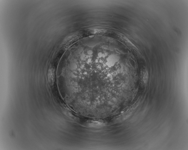 X0000113600475200909251200