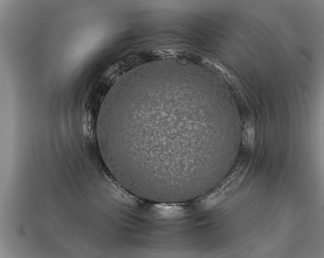 X0000113600477200909251200