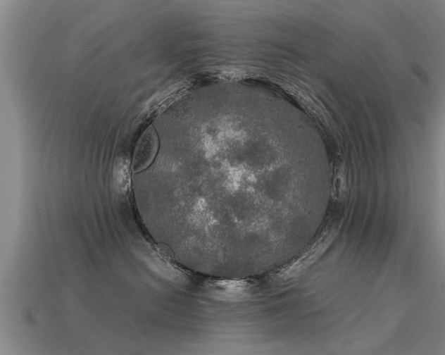 X0000113600478200909251200