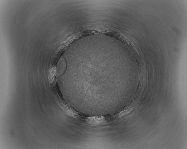 X0000113600480200909251200