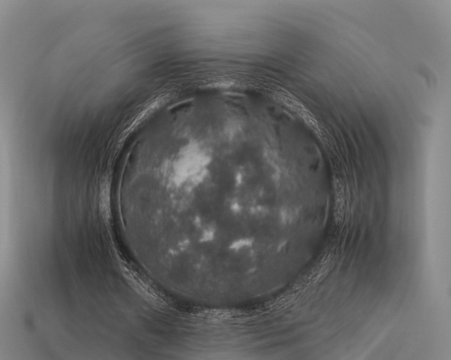 X0000113600482200909251159