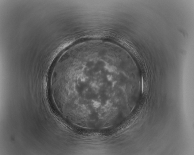 X0000113600483200909251159