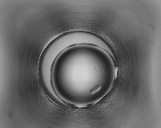 X0000113600484200909251159