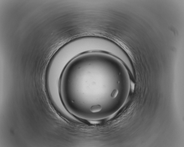 X0000113600485200909251159