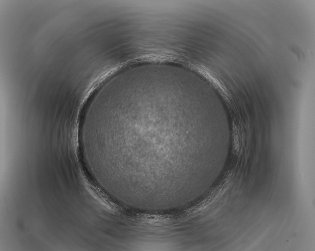 X0000113600486200909251159