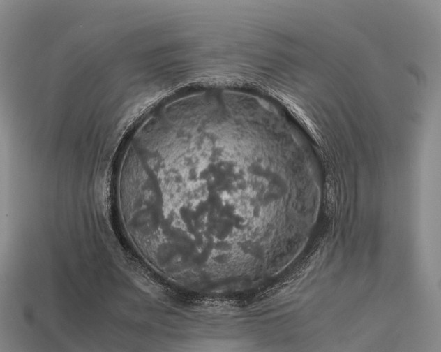 X0000113600487200909251159