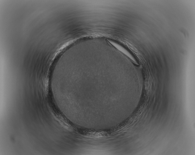 X0000113600488200909251159