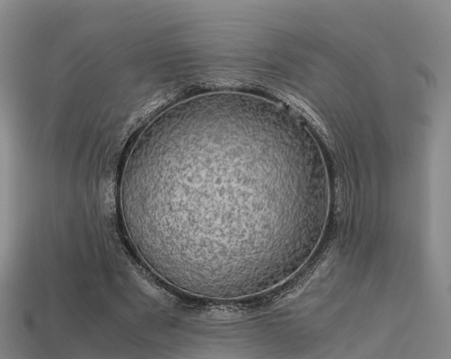 X0000113600489200909251159